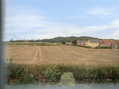 Picture 32